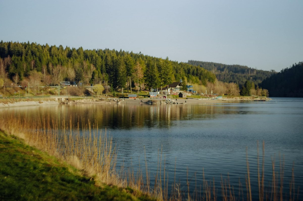 Giáp biên giới Pháp và Thụy Sĩ, Rừng Đen (Schwarzwald) là một khu rừng rộng lớn với diện tích hơn 6.000km². Du khách có thể khám phá những sườn thung lũng sâu với các hồ nước, những ngôi làng và trang trại truyền thống bằng ô tô, xe đạp hoặc đi bộ.Du khách cũng có thể lái xe dọc theo Schwarzwald Hochstrasse (đường cao tốc Rừng Đen) để ngắm cảnh nếu không có nhiều thời gian. Khi đến đây, khách du lịch không nên bỏ qua các món ăn truyền thống như schwarzwalder kirschtorte (bánh kem Rừng Đen), schwartzwalder schinken (thịt hun khói) hay xúc xích đỏ.
