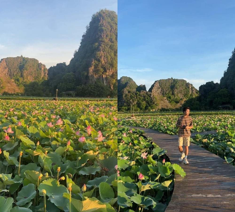 He ve, du khach xuoi dong Ngo Dong ngam sac lua chin vang-Hinh-4