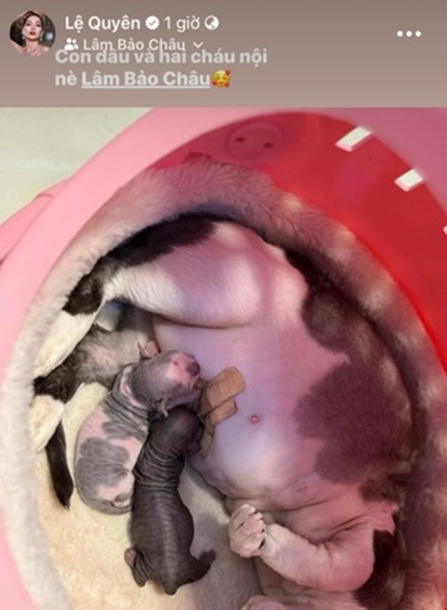 Bị soi đời tư, Lệ Quyên liên tục nhắc đến Lâm Bảo Châu. Cụ thể, cô khoe thú cưng đồng thời gắn trang cá nhân của tình trẻ. Ảnh: FBNV.