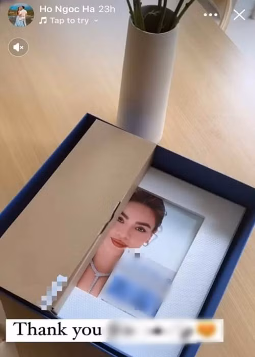 Ho Ngoc Ha noi gi khi bi don gianh hop dong cua Thanh Hang?