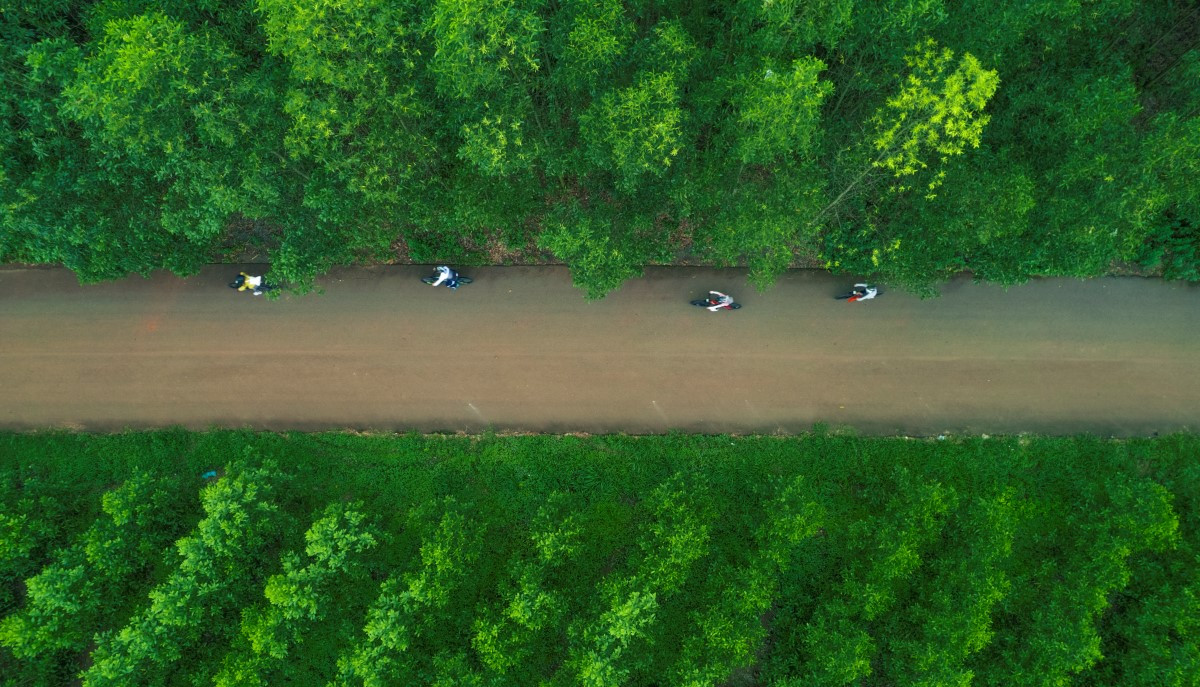 Du khách đạp xe qua vườn cây của người dân xung quanh khu rừng. Ảnh: DucHieuMedia