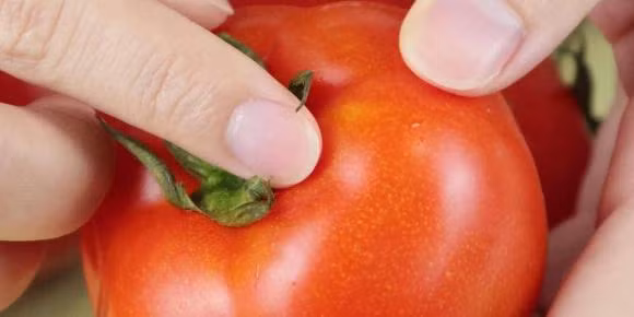 5 nguyen nhan khien ca chua ngay nay cung hon truoc-Hinh-5