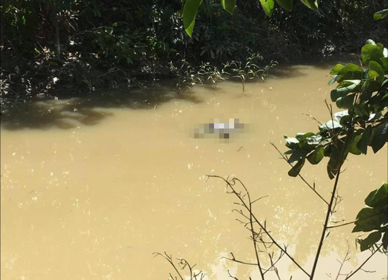 Tối muộn ngày 29/4/2018, anh Nông Văn Chu (41 tuổi, trú tại xã Minh Hương, huyện Hàm Yên, tỉnh Tuyên Quang) xách đèn pin, đeo chiếc giỏ ngang thắt lưng rồi ra khu ruộng trước nhà để mò cua. Cả đêm ấy, anh Chu không về nhà. Sáng ngày hôm sau, nhiều người "bán tín, bán nghi" nên đã đổ xô đi tìm, tuy nhiên cũng chẳng thấy bóng dáng anh này đâu. Phải tới khoảng 13h ngày 30/4/2018, một người dân mới phát hiện thi thể anh Chu nằm ở dưới mương nước ngay gần nhà. (Ảnh minh họa, nguồn ảnh VTC News) 