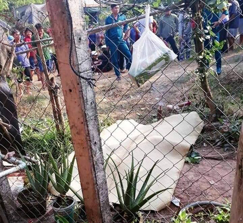 Chinh quyen len tieng “tin don” CSGT ruot duoi khien 2 co gai thuong vong-Hinh-3