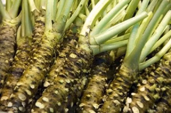 Loai cu 2 trieu dong nhung mat ngon ngay sau 15 phut