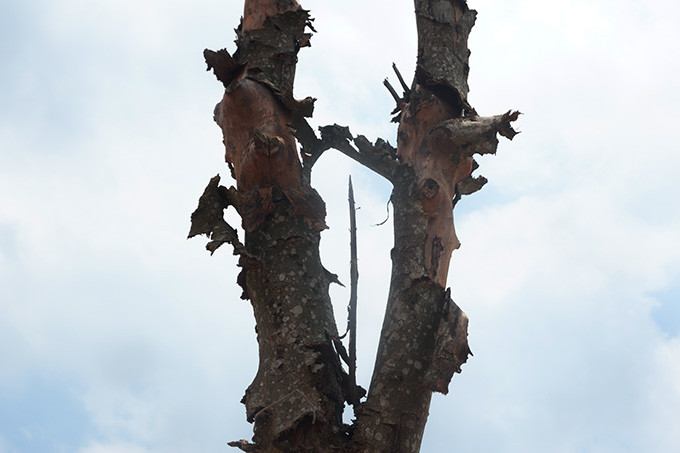 Trao đổi với PV, đại diện UBND xã Đại Mạch cho biết, dự án làm đường chưa bàn giao nên địa phương cũng chưa nắm được. Việc này cũng gây khó khăn cho địa phương trong công tác quản lý, nhất là việc đổ phế thải dọc hai bên hành lang đường.