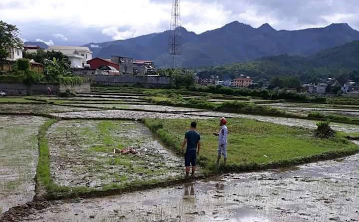 Tuy nhiên, các đối tượng có tham gia hoạt động đòi nợ cùng vợ chồng Chung, Thu hay không, về cả tính chất và mức độ, cơ quan công an đều chưa có căn cứ để xử lý hình sự đối với các đối tượng này”- Đại tá Tráng A Tủa&#x1c; cho biết thêm, cơ quan điều tra đã triệu tập 4 nghi can liên quan vụ truy sát khiến 3 người tử vong ở huyện Tuần Giáo.