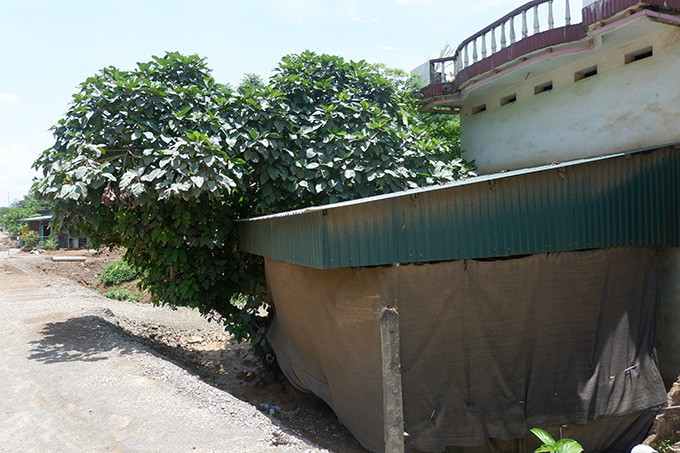 Du an trong diem cua tinh Hoa Binh khien dan song trong lo so-Hinh-2