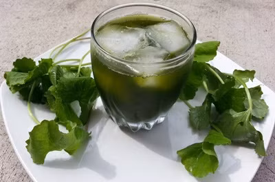 Vì vậy sinh tố rau má là loại sinh tố rau tuyệt vời để làm mát cơ thể trong những ngày hè. Ảnh: Wiki Phununet