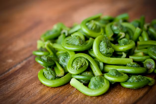 Trong dương sỉ chứa một số loại vi khuẩn có lợi có tác dụng thanh nhiệt giải độc, sát trùng, chống viêm vì thế những người bị các bệnh mẩn ngứa, vết thương lở loét ăn rất có lợi. Ảnh: Tin Taynguyen.