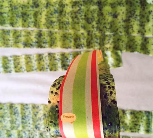 Mẹ hãy cắt kiwi thành từng mảnh nhỏ sau đó cuộn lại thành từng viên kẹo nhỏ để thu hút, hấp dẫn bé. Ảnh: Facebook monngonmoingay.