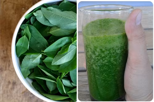 Sản phụ có thể ăn canh rau ngót nấu thịt thăn vừa lành vừa bổ. Ngoài ra, nước cốt lá rau ngót sống chữa sót nhau thai và làm sạch sản dịch rất tốt. Ảnh: Xã luận. 