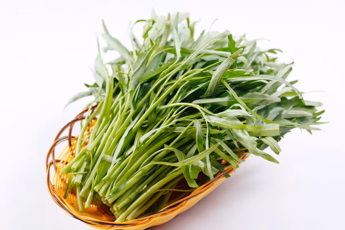 Rau muống: Món rau ăn lá mùa hè bình dân quá đỗi quen thuộc với tất cả người Việt. Loại rau này có tính mát, giải độc rất tốt. Ưu điểm của loài rau này là có thể chế biến được rất nhiều món ngon, hợp khẩu vị với tất cả mọi người. Ảnh: VITD.