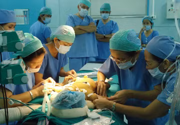 Ghép tứ chi: Theo các chuyên gia thì về mặt kỹ thuật ghép tứ chi các chuyên gia Việt đã thực hiện rất thành công và có thể dễ dàng thực hiện trong thời gian gần đây.