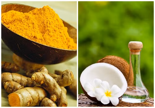 Không chỉ có công thức chữa bệnh đau dạ dày từ dừa của nghệ sĩ Nguyễn Văn Toản nhận được quan tâm rất lớn của cộng đồng mạng mà bài thuốc chữa bệnh gout từ dừa và trầu không của ông cũng được rất nhiều người tìm kiếm. Ảnh: Cây thuốc quý. 