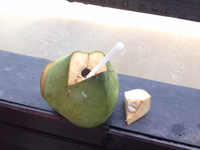 Dừa xiêm lấy nước, cắt vát phần đầu thành hình một chiếc nắp đậy. Ảnh: Làm cha mẹ.