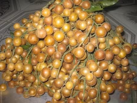 Khi bạn bị ho gió, nên lấy 30g hồng bì tươi bổ đôi, hấp với đường và chia ra ăn trong ngày sẽ mang lại hiệu quả bất ngờ. Ảnh: Eva.