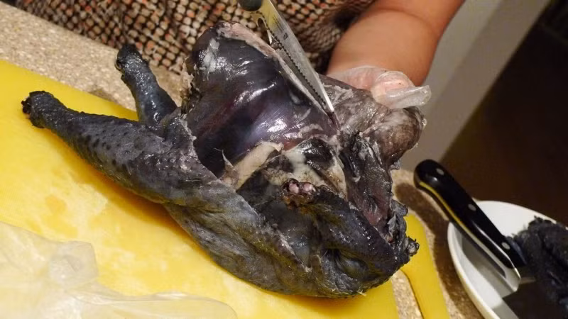 Với người lớn bạn có thể luộc hoặc hấp gà cách thủy sau đó ăn thịt gà. Cách chế biến này không làm con gà mất đi dinh dưỡng vốn có của nó. Ảnh: 5S.