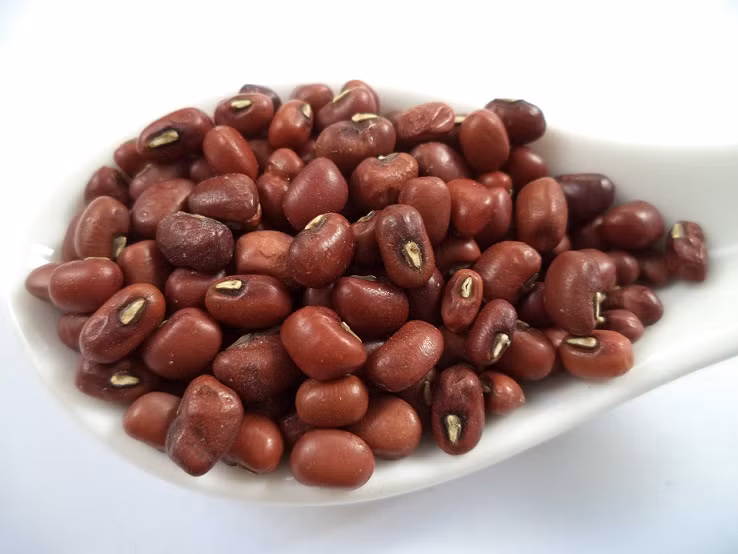 Kết hợp các vị thuốc gồm: chàm mèo, thanh bì, xích tiểu đậu, cam thảo, kim ngân hoa sắc lên cho người bệnh quai bị uống. Ảnh: Yellowpages