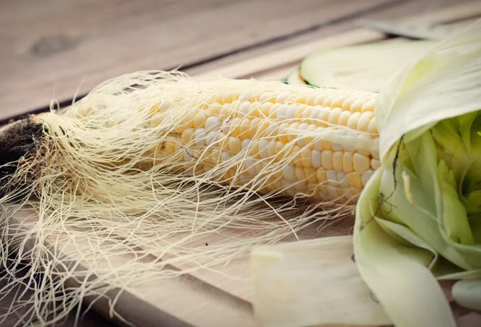 Dùng cho người bị huyết áp cao: lấy 60g hoa hướng dương và 30 râu ngô sắc lên lấy nước, hòa thêm đường cho người bệnh uống để ổn định huyết áp. Ảnh: Cam thảo dược. 