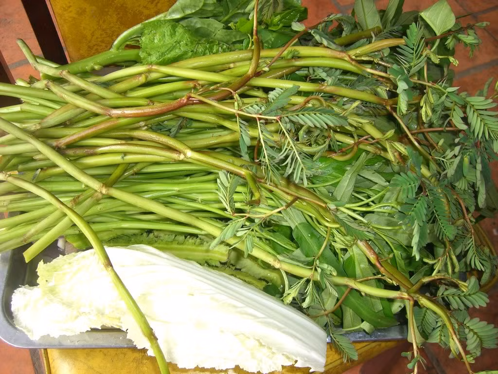 Khi ăn rau rút sống hoặc chưa nấu chín những bào tử, trứng ký sinh trùng này dễ dàng xâm nhập và tấn công cơ thể bạn khiến bạn sinh bệnh. Ảnh: Toinayangi.