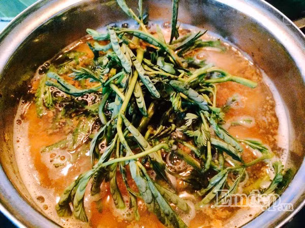 Ngoài ra, nên chọn mua rau rút tại các cửa hàng rau sạch, tránh mua ở những nơi không đảm bảo vệ sinh. Ảnh: Emdep.