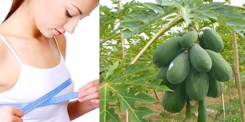 Tiếp theo cho đu đủ, sữa tươi, đường và đá viên vào máy xay nhuyễn và uống ngay để tránh làm mất dưỡng chất của đu đủ. Bạn nên sử dụng hỗn hợp này vào mỗi tối để có kết quả tốt hơn. Ảnh: Chiasemeohay.