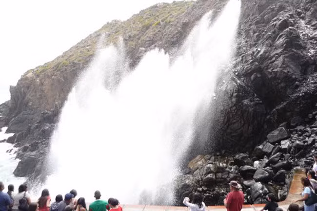 La Bufadora là một mạch nước phun dưới biển ở Baja California, Mexico. Sóng mạnh khiến nước biển phun lên từ mạch này và tạo ra tiếng nổ khoảng 1 phút/lần. Từ trên đài quan sát cao 24m, du khách có thể chiêm ngưỡng những tia nước cao hơn 30m.