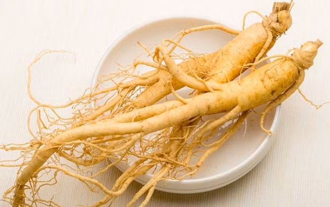 Người có trí nhớ kém hay đi tiểu nhiều lần có thể dùng 3g tổ bọ ngựa, 9g đẳng sâm, 4.5g thạch xương, viên chí, 9g quy bản sắc uống. Ảnh: Đẳng sâm.