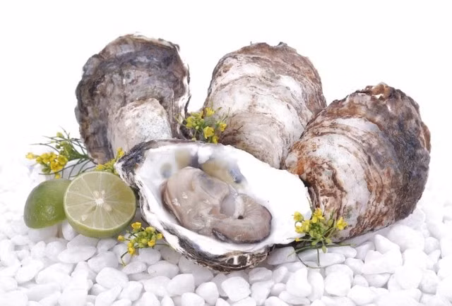 Trị chứng đới hạ, sưng đau tinh hoàn cho nam giới: Tảo côn bố, mẫu lệ (vỏ hàu), quất hạt, tiểu hồi mỗi vị 12g đem sắc lên uống mỗi ngày 1 thang. Ảnh: Hội chữ thập đỏ.