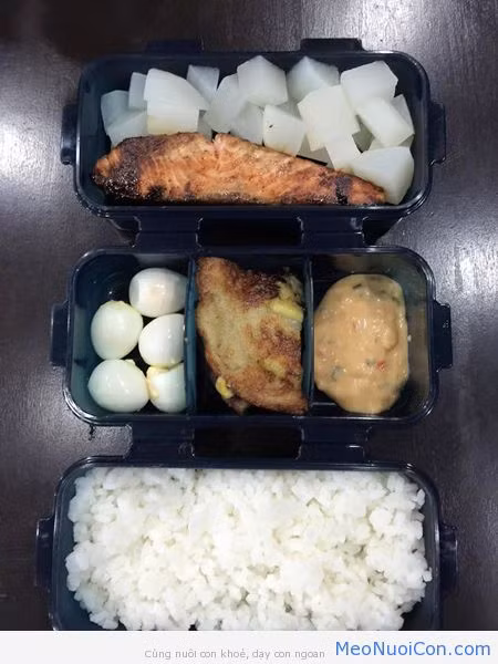 Không nên mang những món ăn như salad, mỳ ống, bánh là từ cá hoặc canh trong hộp cơm mùa hè nếu không có tủ lạnh bảo quản vì nó rất dễ ôi thiu hư hỏng. Ảnh: Meonuoicon.