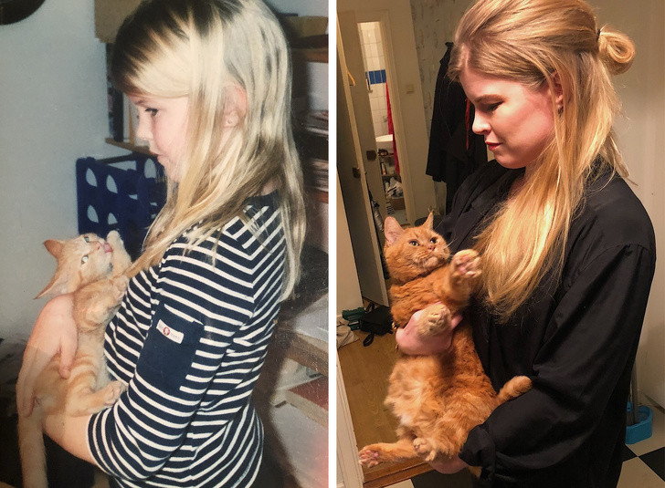 Tình bạn kéo dài suốt 17 năm của bé gái và một chú mèo.