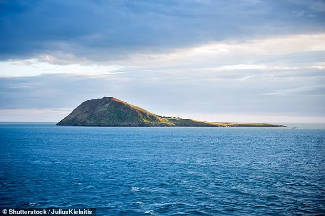 Ngac nhien cuoc song tren dao bi an o xu Wales-Hinh-2