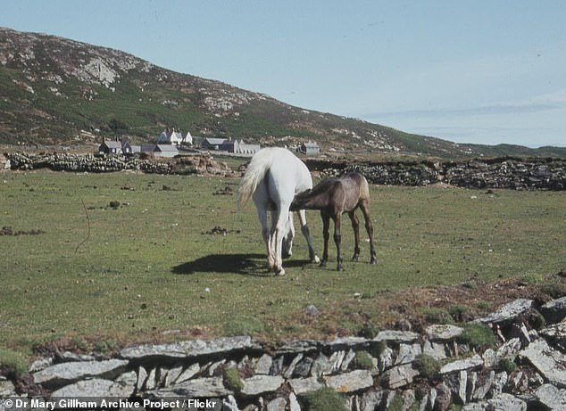 Theo Daily Mail, giới nghệ sĩ và nhà văn vẫn hay ghé thăm đảo Bardsey trong năm.