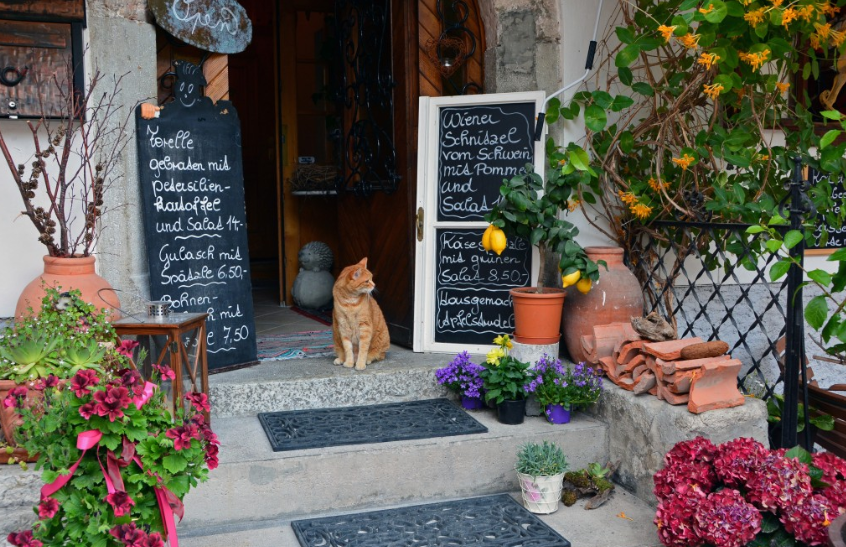 Được biết, hầu hết khách sạn ở làng cổ Hallstatt đều có nhà hàng bên trong.