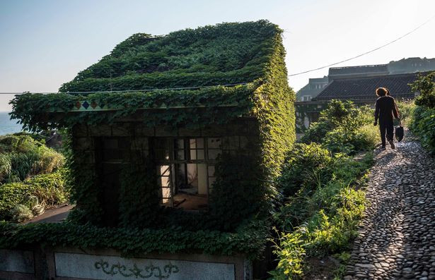 Ngôi làng hiện giờ chỉ còn những toà nhà trống rỗng và bị cây cối "xâm chiếm". Ảnh: Mirror.