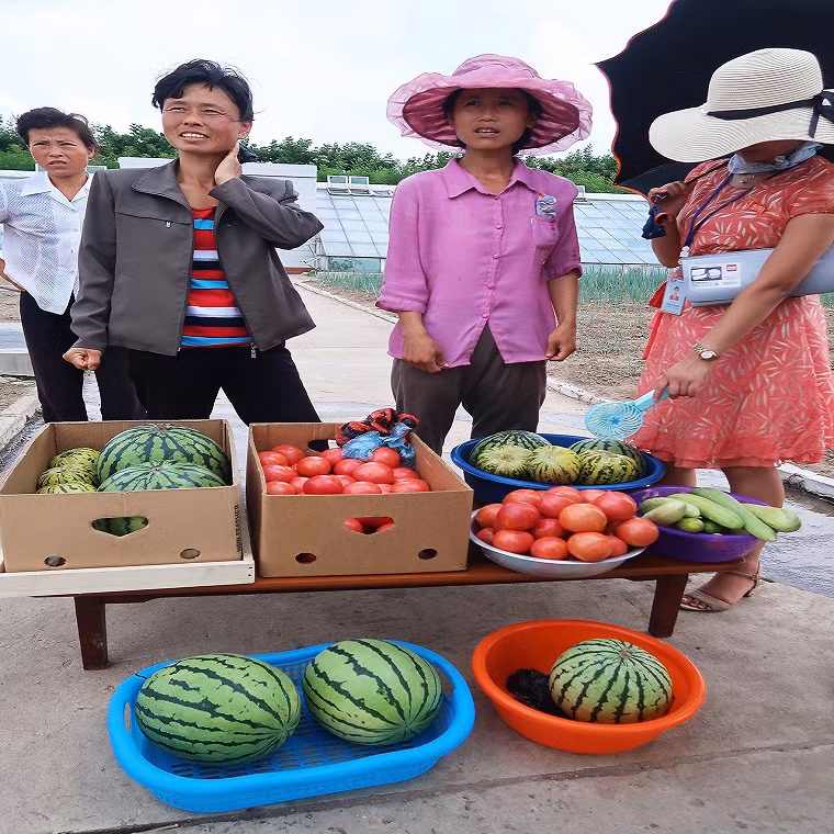 Ngo ngang cuoc song hien dai o dat nuoc Trieu Tien-Hinh-5