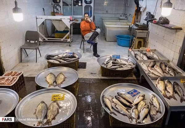 Bên trong một cửa hàng bán cá ở Iran. FNA.