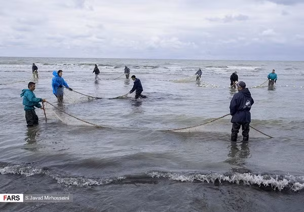 Khi mùa thu đến, hàng nghìn ngư dân Iran ở phía bắc nước này lại chuẩn bị lưới ra khơi đánh bắt cá. FNA.