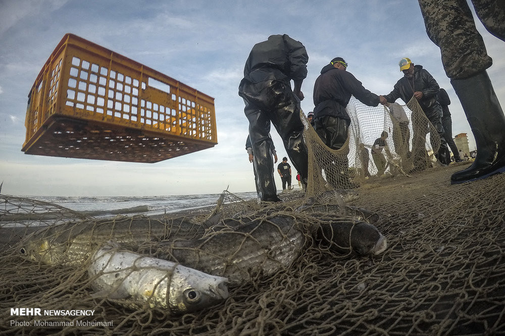 Người dân Iran đánh bắt cá tại vùng biển ở Mahmouđaba, tỉnh Mazandaran. Ảnh: Mehrnews.
