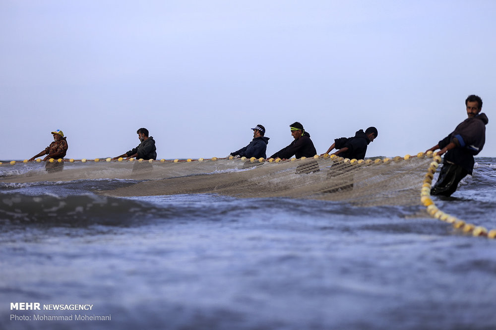 Hình ảnh ngư dân Iran đánh bắt trên biển Caspi. Ảnh: Mehrnews.
