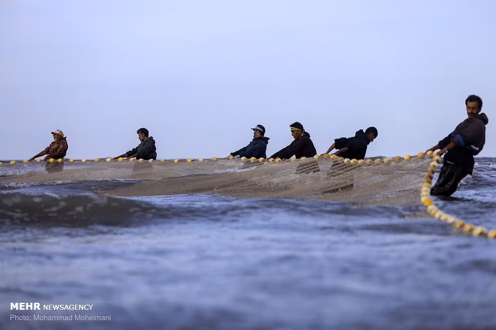 Hình ảnh ngư dân Iran đánh bắt trên biển Caspi. Ảnh: Mehrnews.