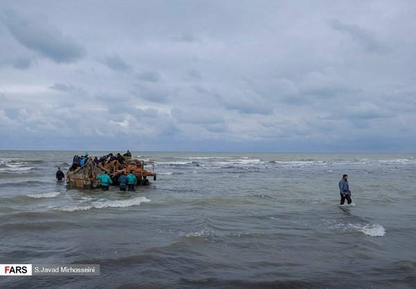 Nhiều loài cá khác nhau sống ở vùng biển này. Trong đó, một lượng lớn cá tầm trên thế giới tập trung tại biển Caspi. FNA.