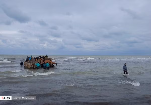 Nhiều loài cá khác nhau sống ở vùng biển này. Trong đó, một lượng lớn cá tầm trên thế giới tập trung tại biển Caspi. FNA.