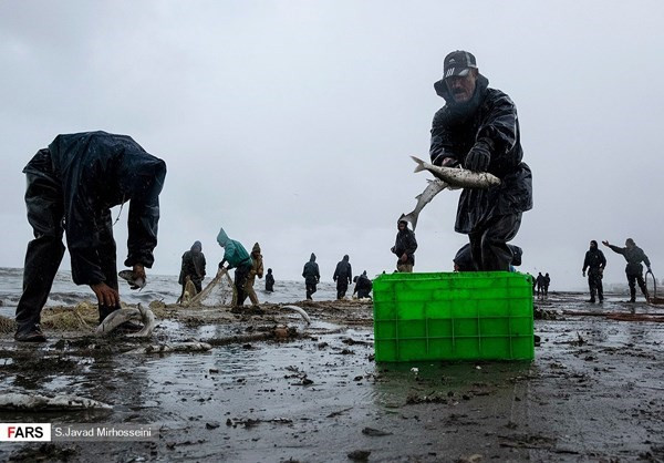 Mùa đánh bắt cá ở đây thường bắt đầu từ ngày 12/10 và kết thúc vào ngày 4/4 năm sau. FNA.