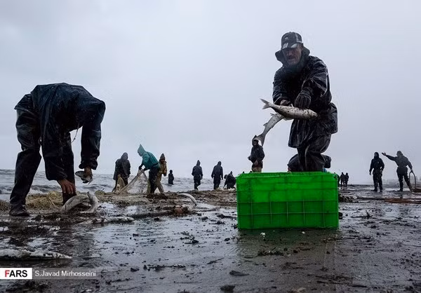 Mùa đánh bắt cá ở đây thường bắt đầu từ ngày 12/10 và kết thúc vào ngày 4/4 năm sau. FNA.