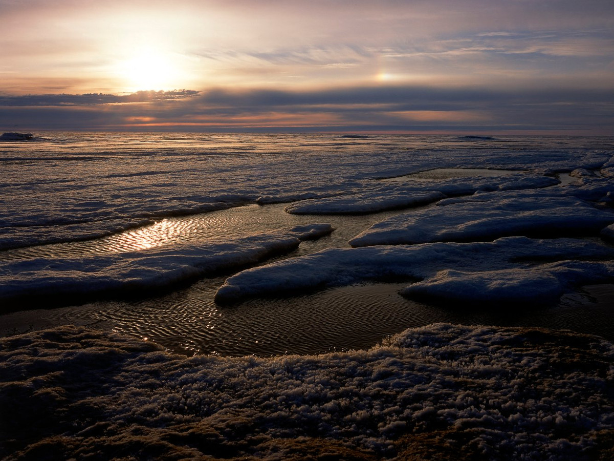 Hiện tượng “đêm cực” kéo dài từ giữa tháng 11 và kết thúc vào khoảng giữa tháng 1 năm sau. Trong khoảng thời gian này, thị trấn Utqiaġvik – hay còn có tên gọi là Barrow - hoàn toàn chìm trong bóng tối, người dân địa phương sẽ không nhìn thấy ánh sáng mặt trời trong suốt hai tháng.