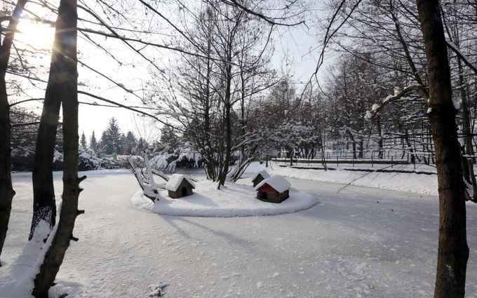 Một ao nước đã bị đóng băng trong vườn thú ở Sarajevo, Bosnia &amp; Herzegovina, ngày 5/1. Ảnh: EPA.