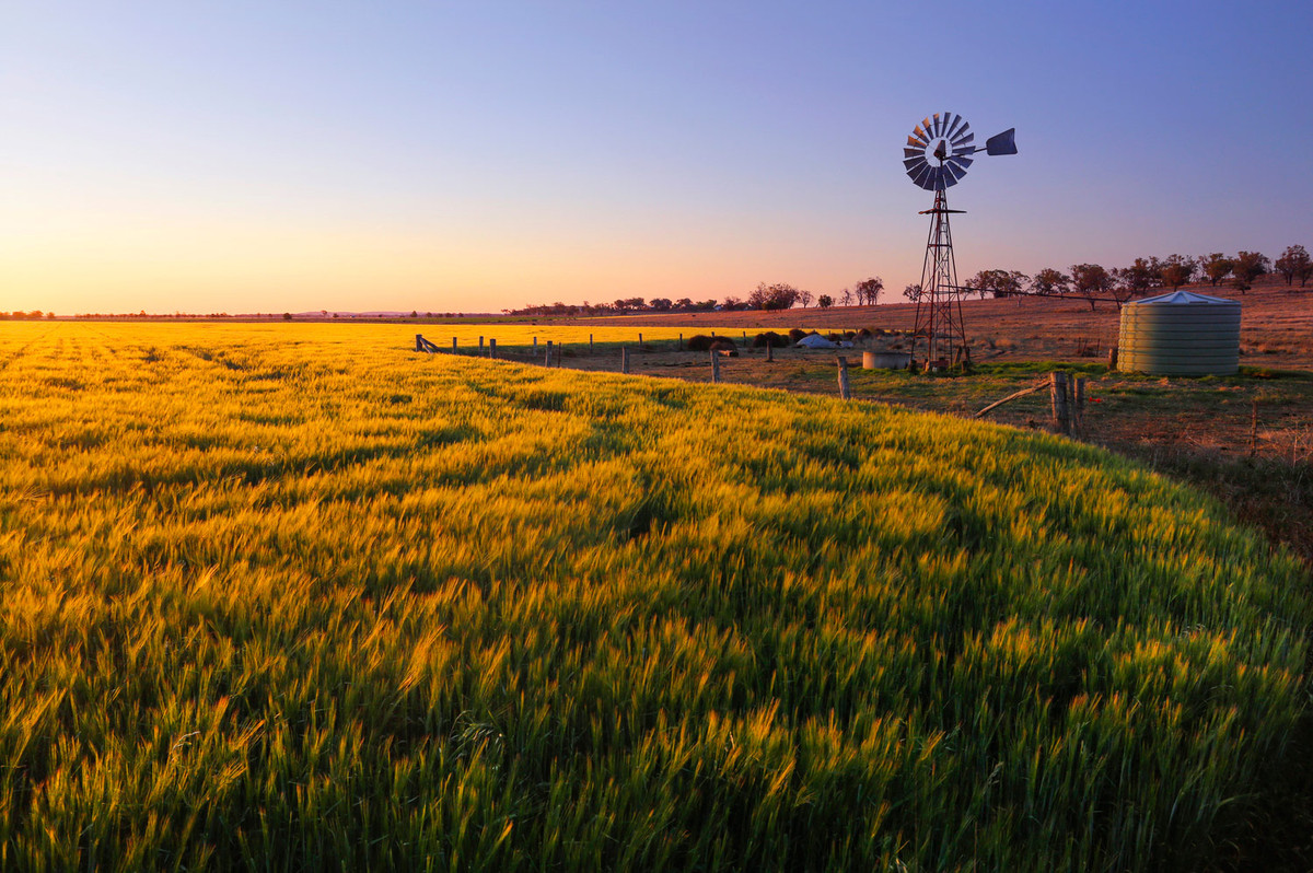 Đất nước "chuột túi" Australia có những trang trại có diện tích còn rộng lớn hơn cả Israel. Ảnh: Internet.