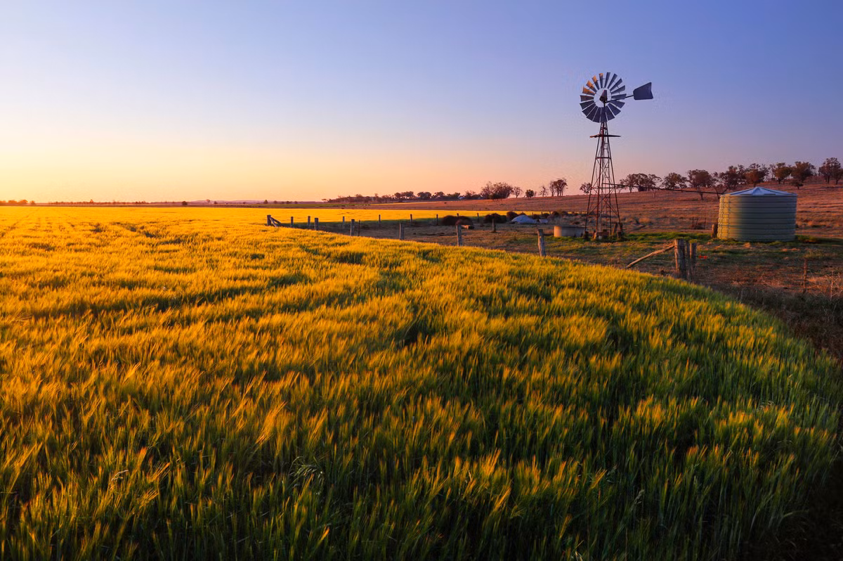 Đất nước "chuột túi" Australia có những trang trại có diện tích còn rộng lớn hơn cả Israel. Ảnh: Internet.